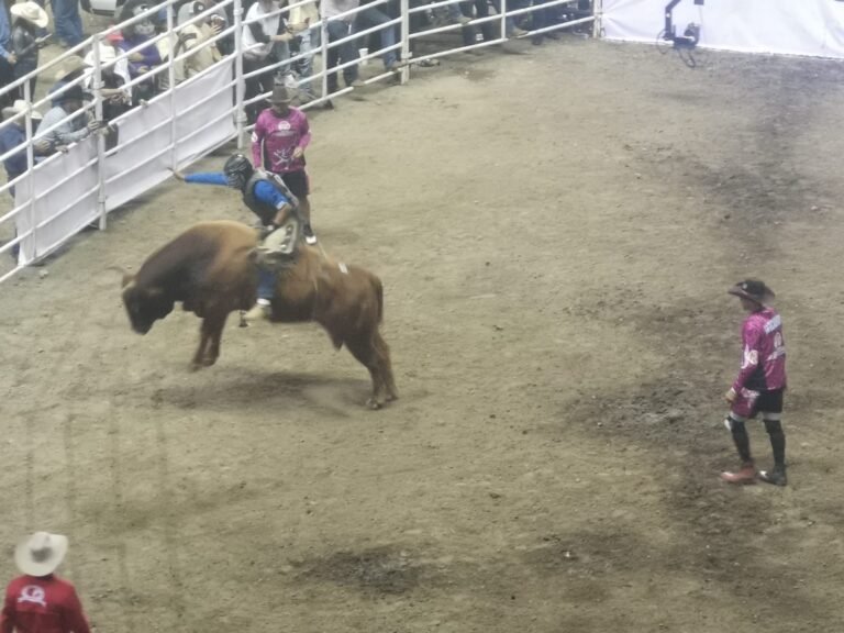 Costa Rica Rodeo Extreme American Rodeo cuenta las horas para un evento único y ...
